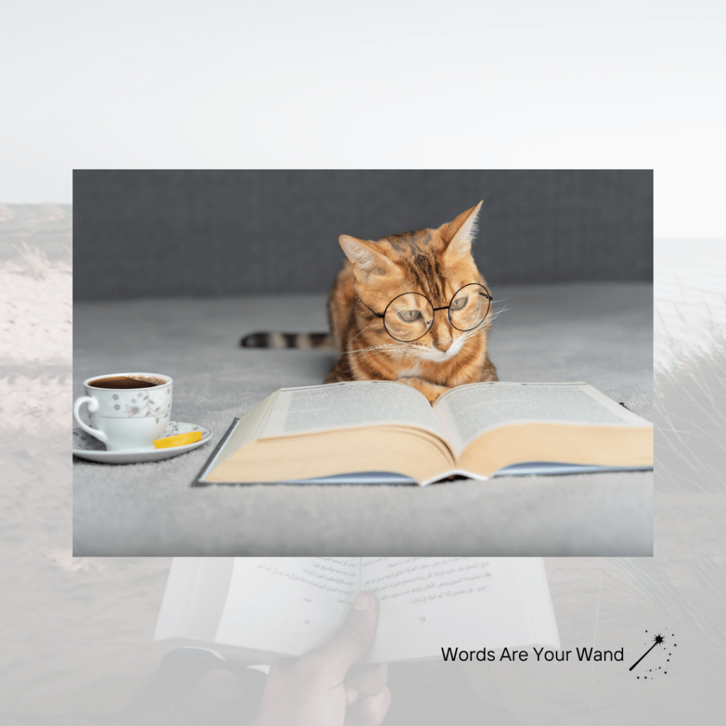 Book Launch Plan #2: Crafting a Compelling Book Description