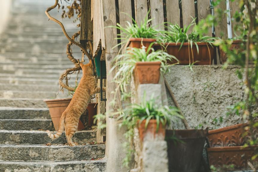 curiosity igniting journaling prompts