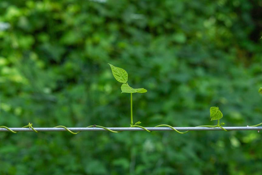 explosive youtube growth tactics