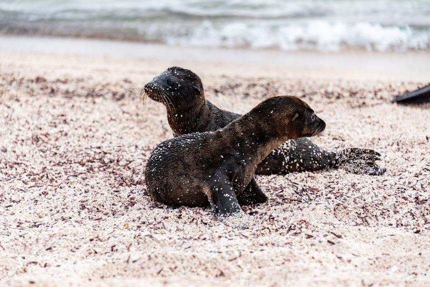 life changing gratitude prompts