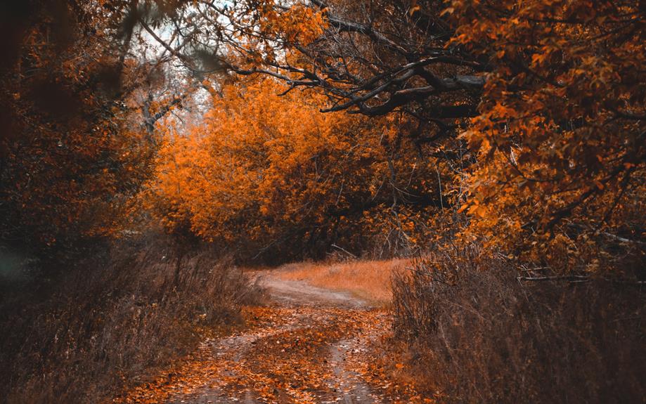 therapeutic journaling for personal growth